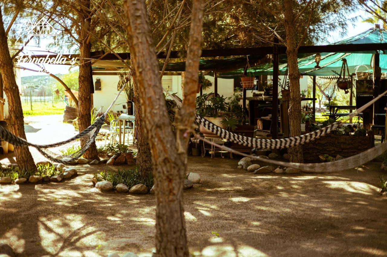Fernabella'S Lodge Вале де Гуадалупе Екстериор снимка