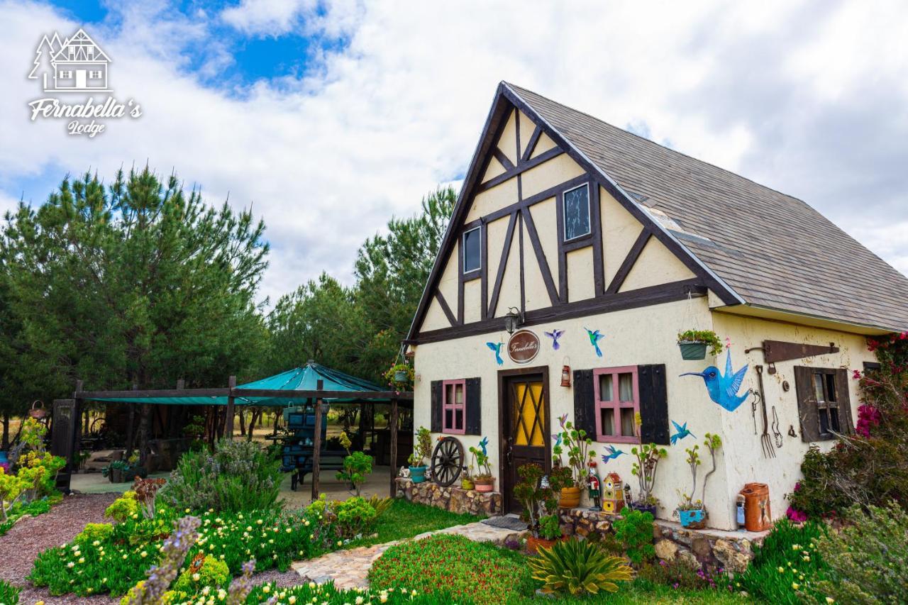 Fernabella'S Lodge Вале де Гуадалупе Екстериор снимка
