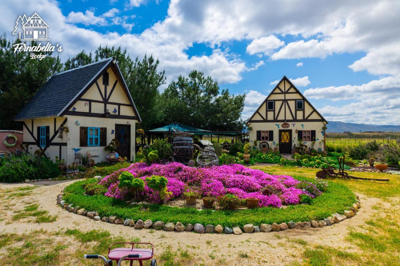 Fernabella'S Lodge Вале де Гуадалупе Екстериор снимка